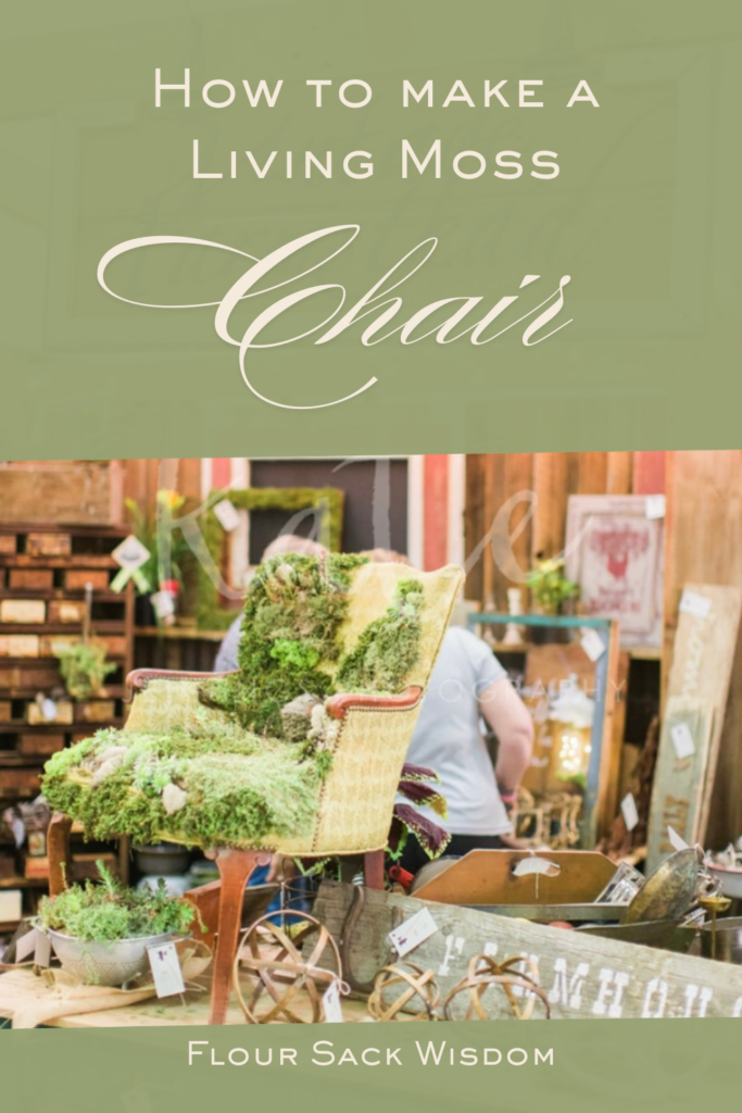 DIY living moss chair created from a broken vintage chair using moss, succulents, and natural materials.