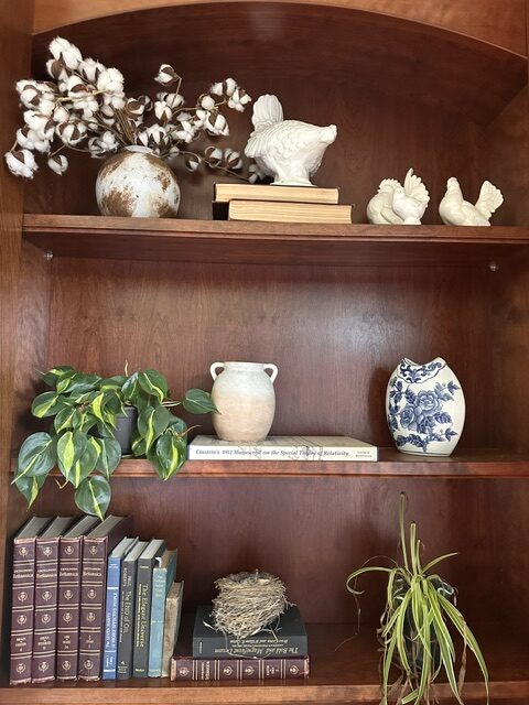 Curated cottage-style bookcase decorated with vintage books, blue and white pottery, cotton stems, bird figurines, and houseplants.